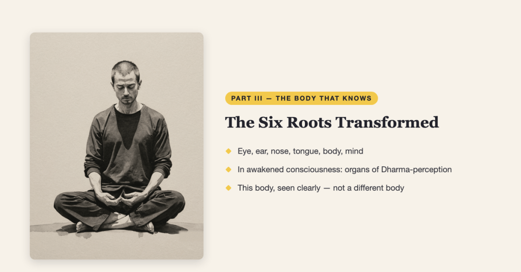 Enlightenment Is Embodied | The Awakened State (Part III) #Shorts